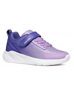 Geox Sprintye Dark Violet Trainers